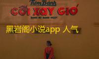 黑岩阁小说app 人气热度	：36℃